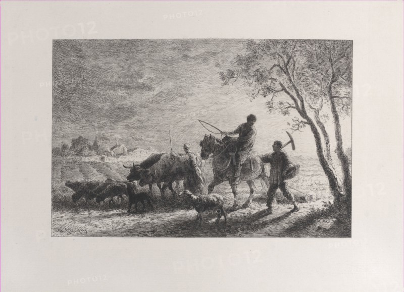 The Return from the Fields