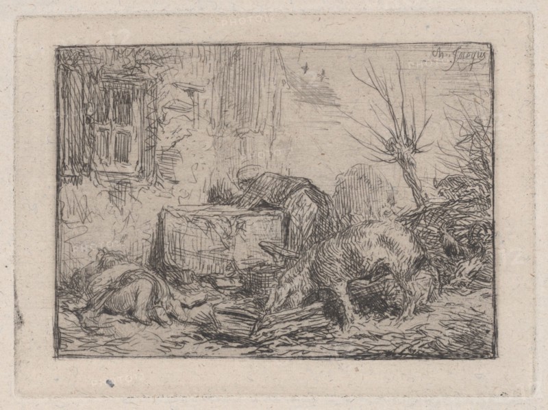 Farmyard