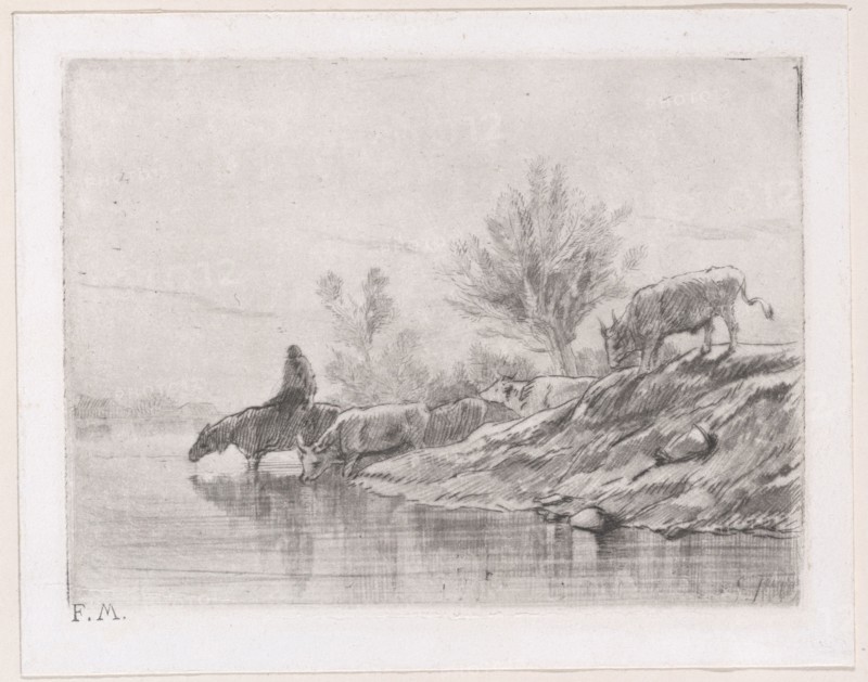 Landscape with cattle
