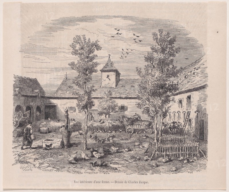 Interior View of a Farm