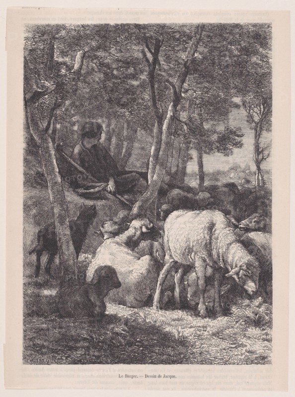 The Shepherd