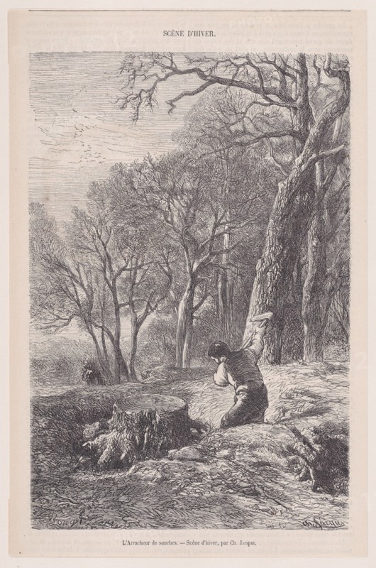 Scène d'hiver: l'arracheur de souches; from Magasin Pittoresque