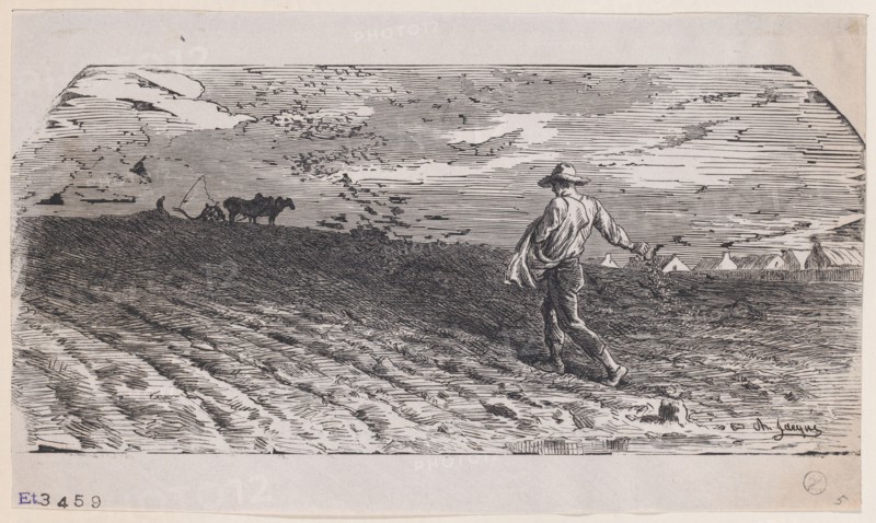 The Sower