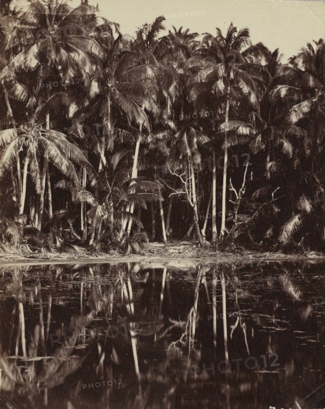 Tetiaroa - Un lagon des Paumotu