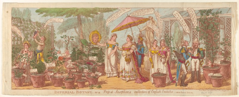 Imperial Botany - or a Peep at Josephine's Collection of English Exoticks