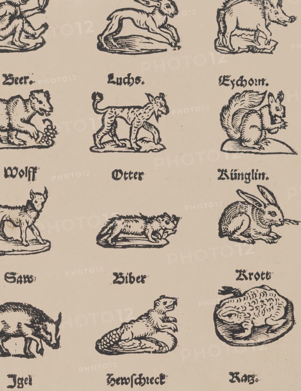Modelbuch aller Art Nehens vn Stickens (Page 14r)