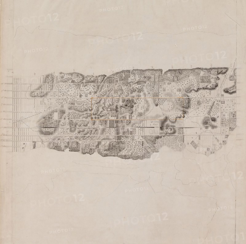 Topographical Map of the City and County of New-York and the Adjacent Country