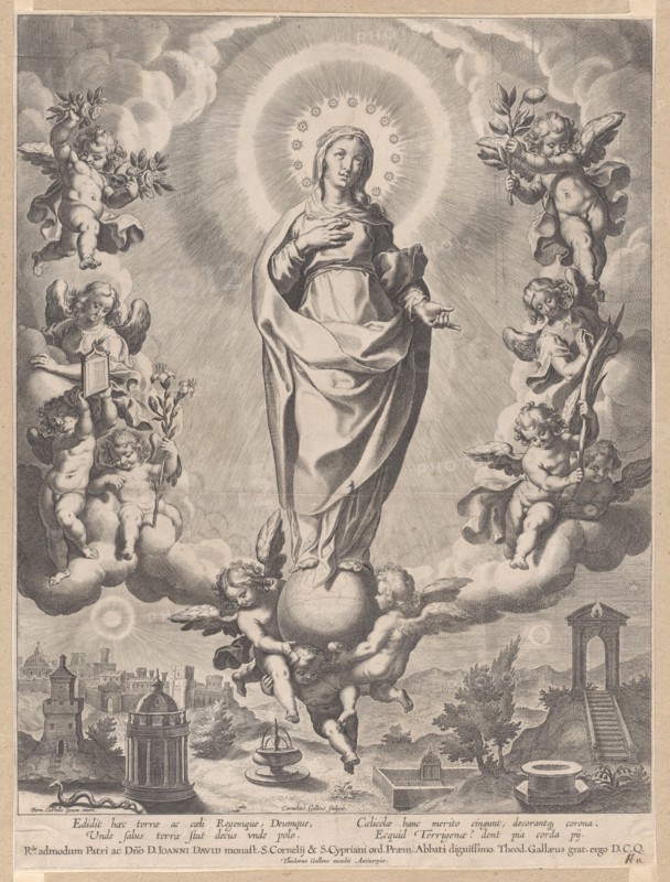 The Virgin in Glory