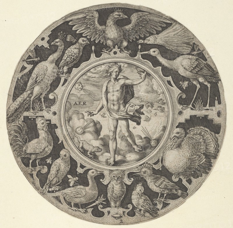 'Aer' in a Decorative Border with Birds