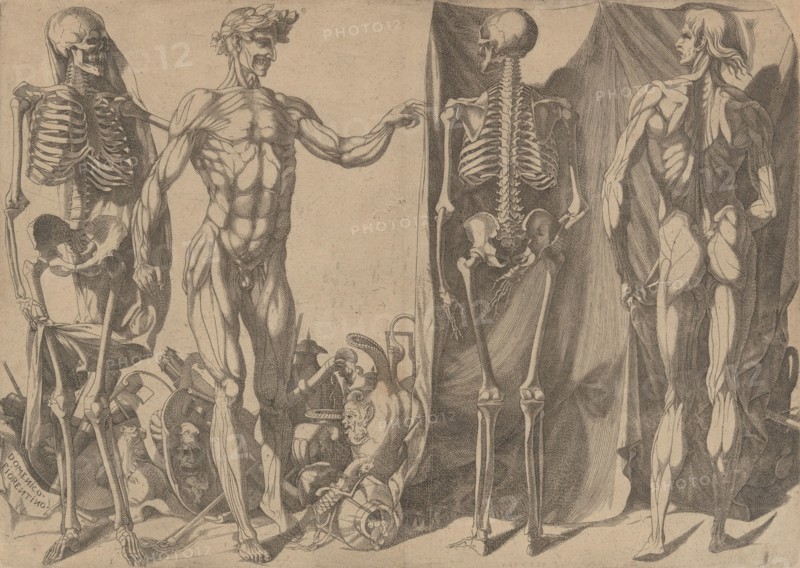 Two Flayed Men and Their Skeletons