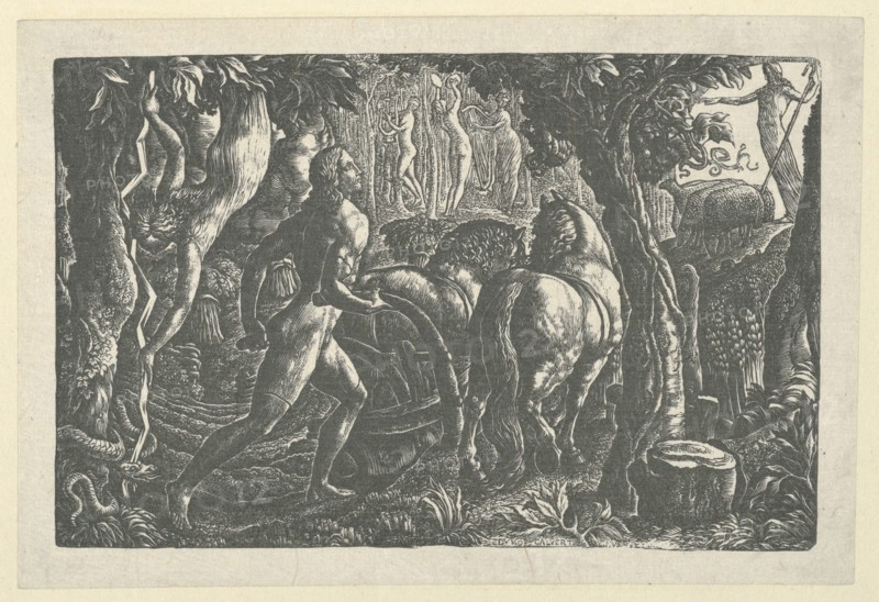 The Ploughman