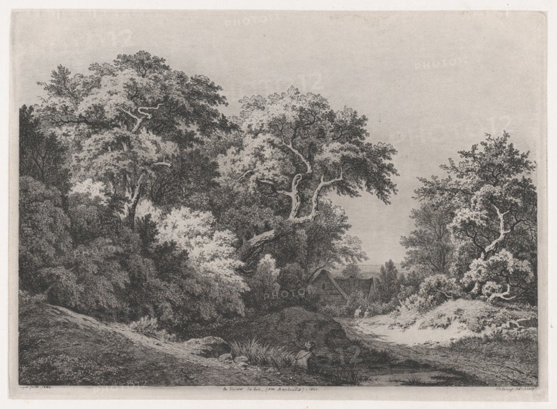 The Edge of the Woods