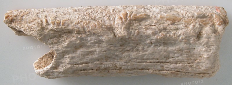 Fragment