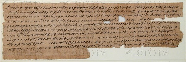 Papyrus