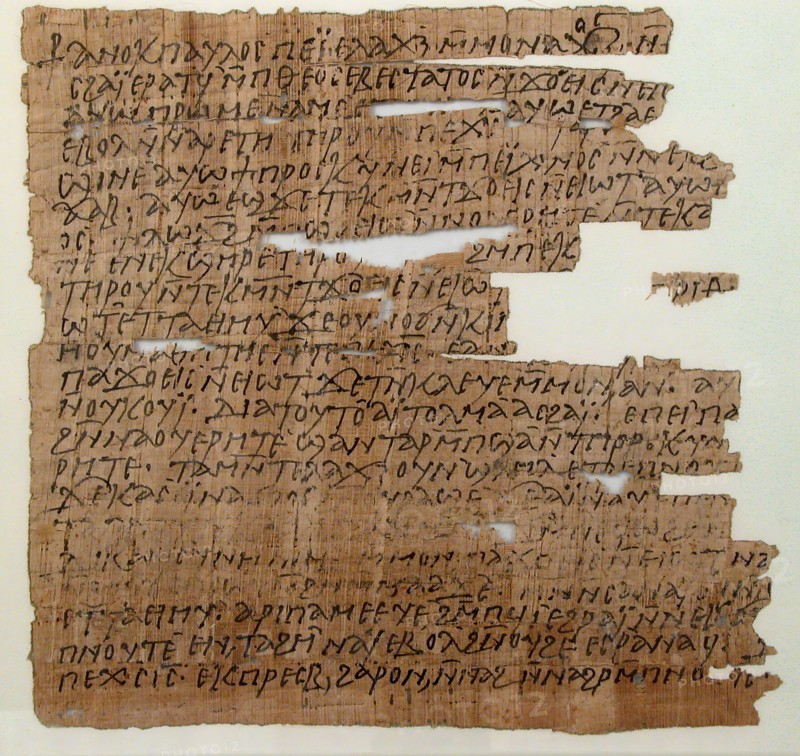 Papyrus