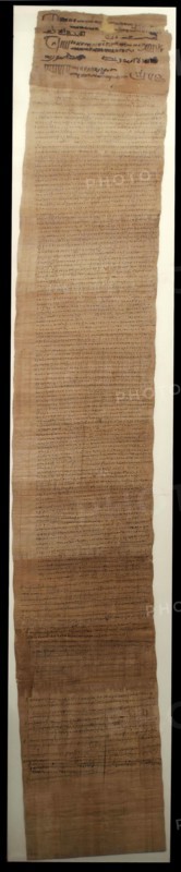 Papyrus