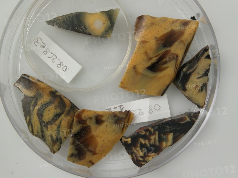 Glass Fragments