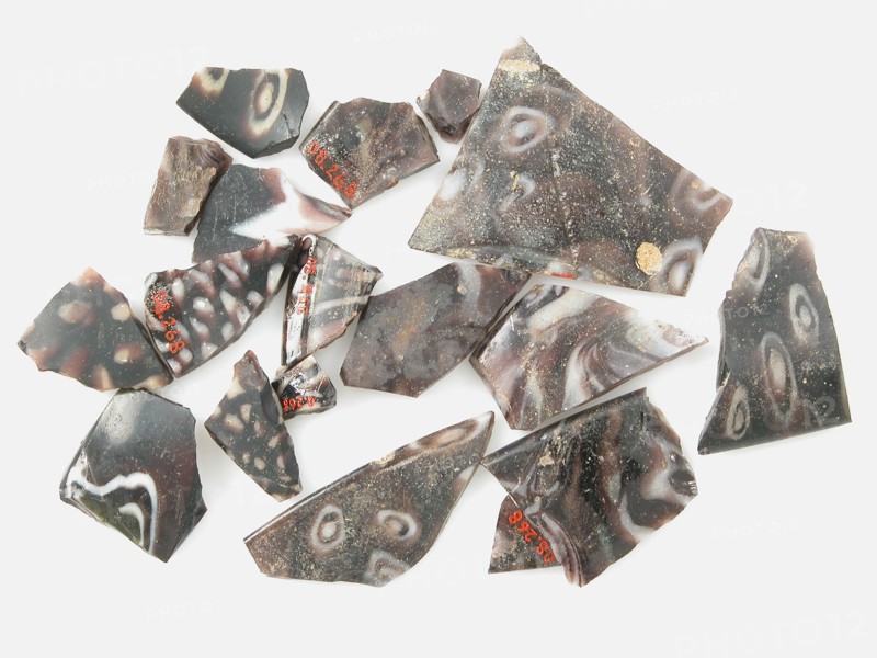 Glass Fragments from a Vessel