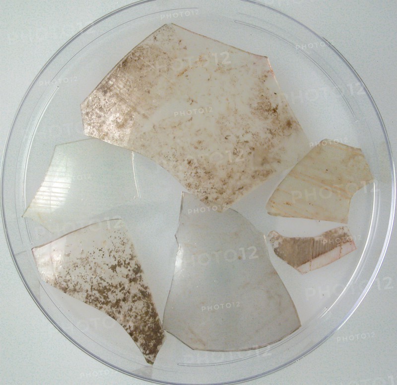 Glass Fragments