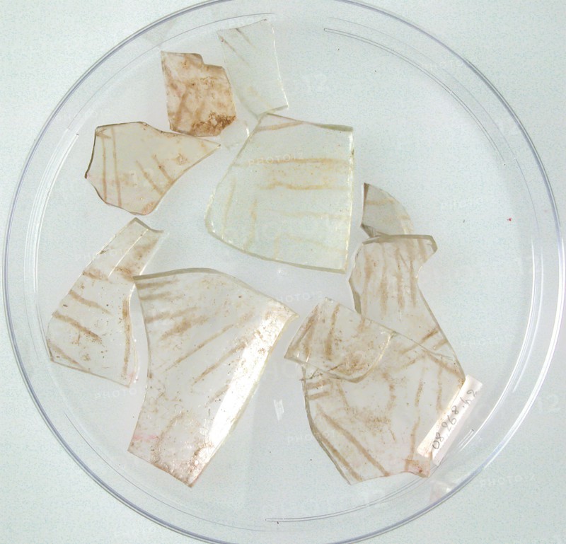 Glass Fragments