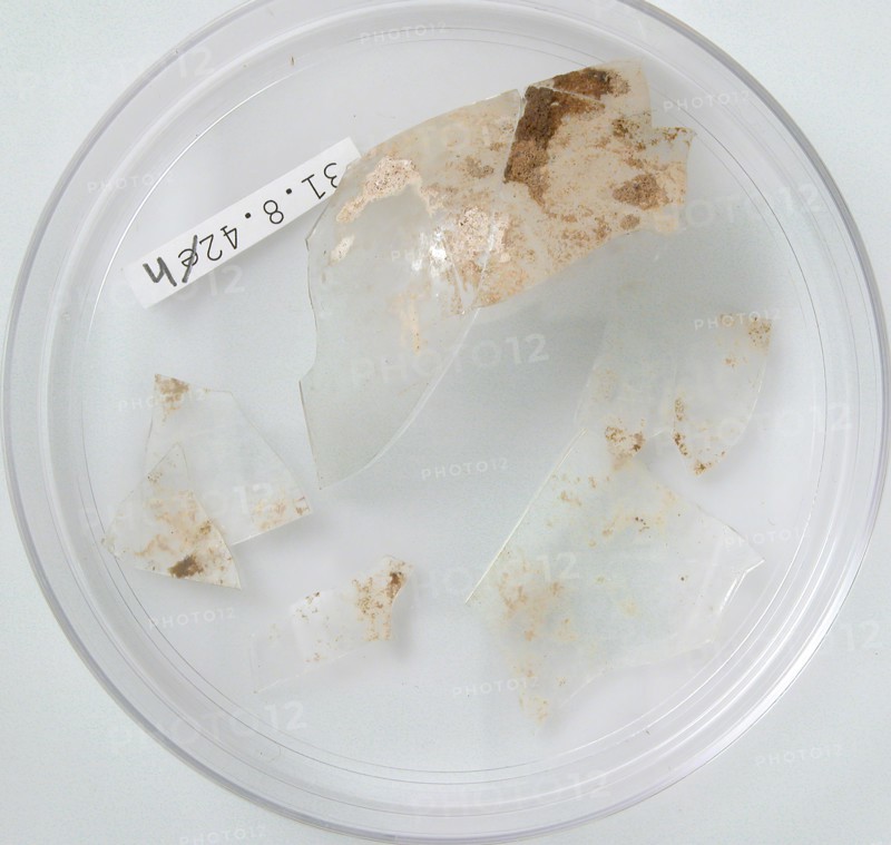 Glass Fragments