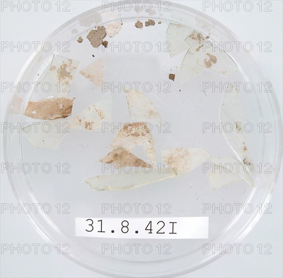 Glass Fragments