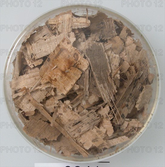 Papyri Fragments