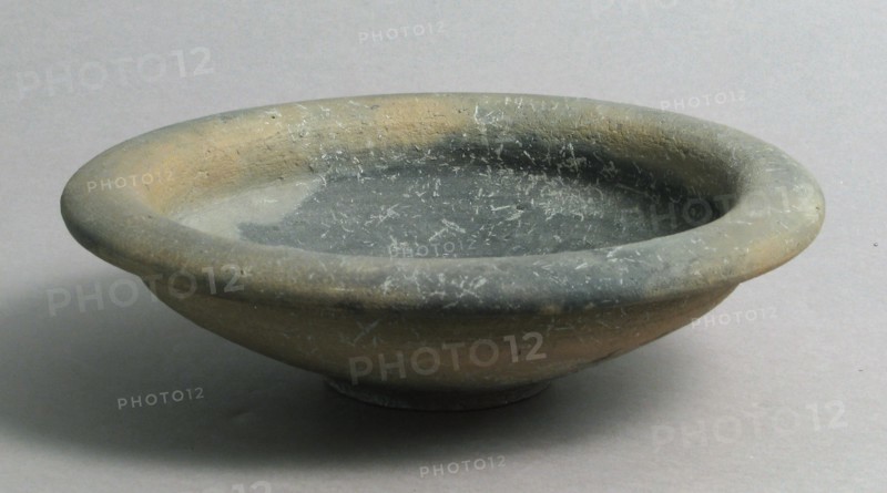 Dish