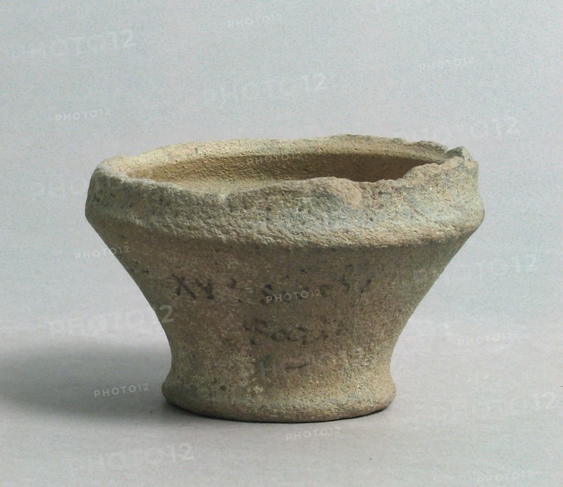 Cup
