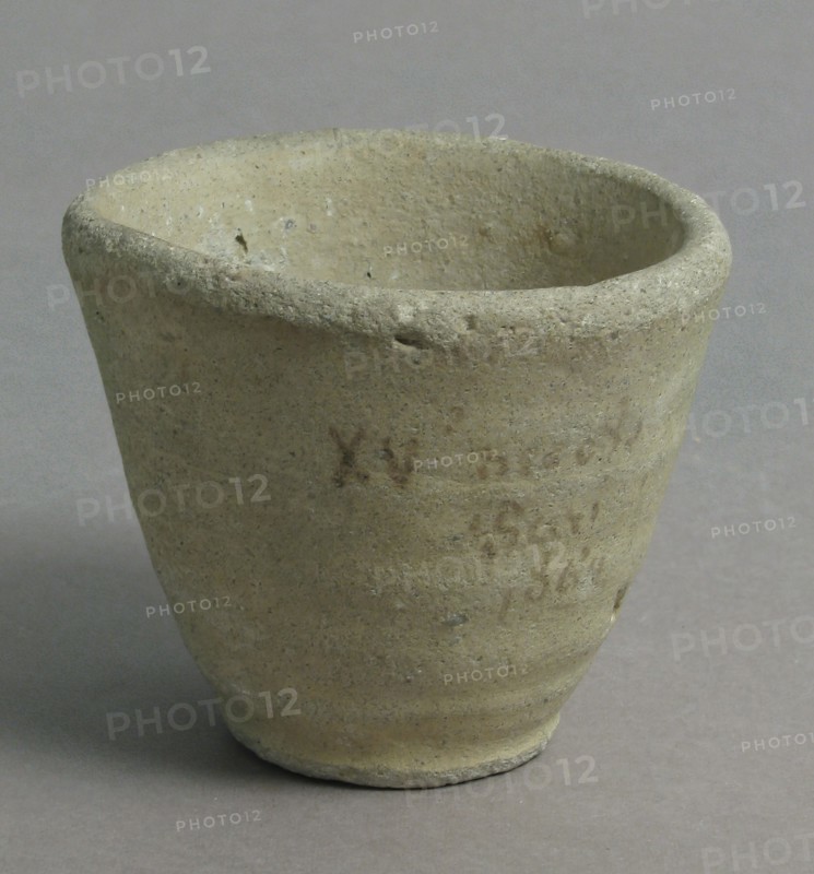 Cup