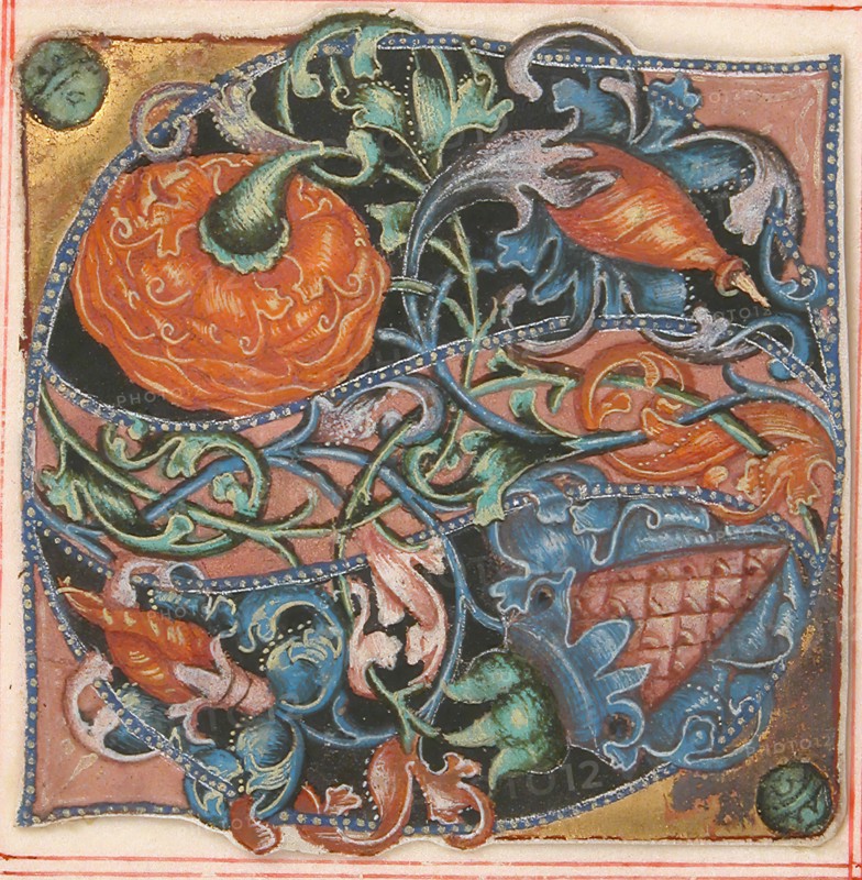 Manuscript Illumination with Initial S
