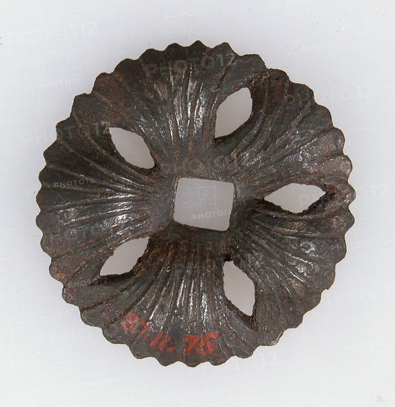 Nail Plate