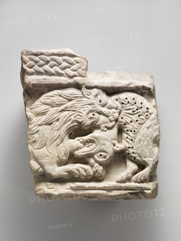 Fragment of an Animal Relief