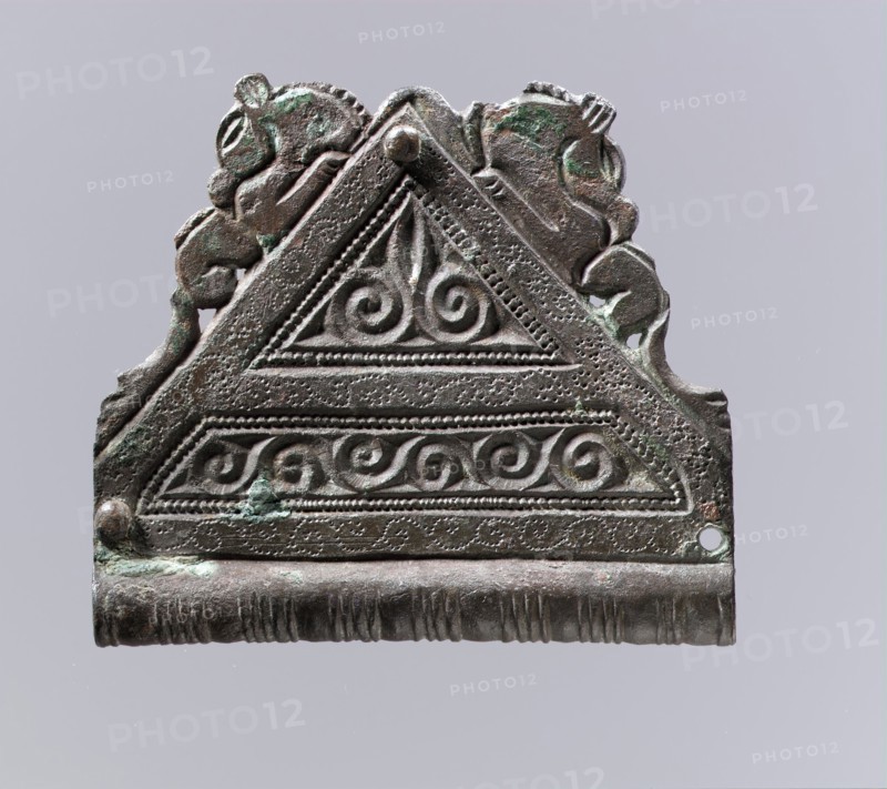 Belt Mount