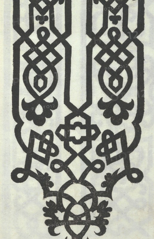 Libro quarto. De rechami per elquale se impara in diuersi modi lordine e il modo de recamare...Opera noua, page 12 (recto), ca. 1532.