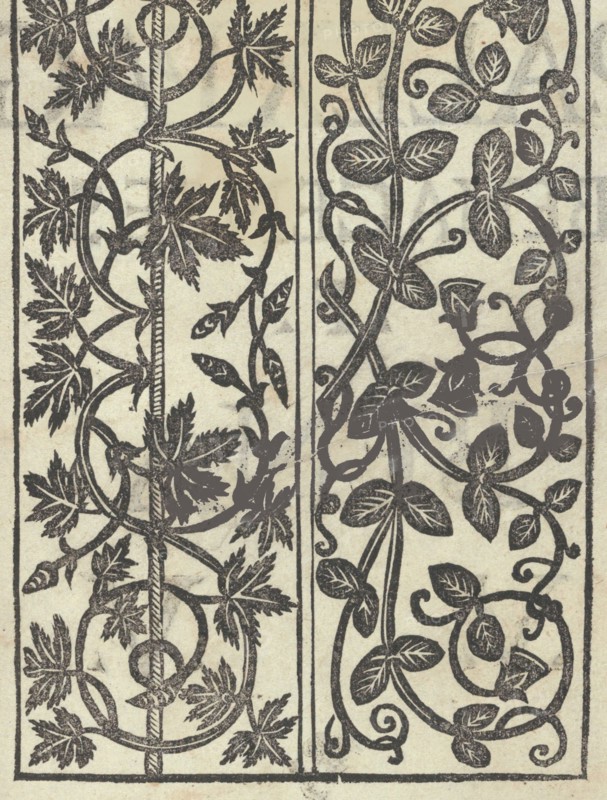Libro quarto. De rechami per elquale se impara in diuersi modi lordine e il modo de recamare...Opera noua, page 18 (recto), ca. 1532.