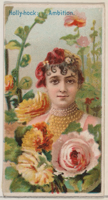 Hollyhock: Ambition, from the series Floral Beauties and Language of Flowers (N75) for Duke brand cigarettes, 1892.