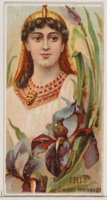 Iris: Sweet Message, from the series Floral Beauties and Language of Flowers (N75) for Duke brand cigarettes, 1892.