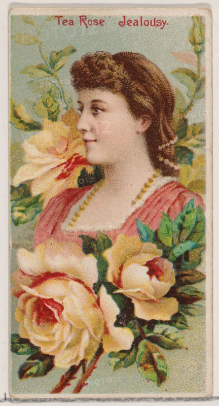 Tea Rose: Jealousy, from the series Floral Beauties and Language of Flowers (N75) for Duke brand cigarettes, 1892.