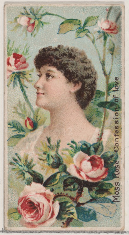 Moss Rose: Confession of Love, from the series Floral Beauties and Language of Flowers (N75) for Duke brand cigarettes, 1892.