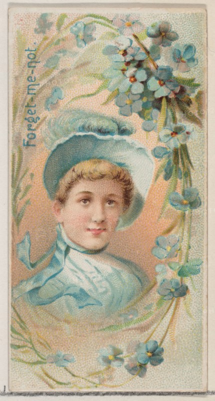 Forget-Me-Not, from the series Floral Beauties and Language of Flowers (N75) for Duke brand cigarettes, 1892.