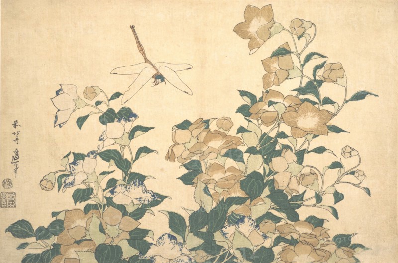 Dragonfly and Bellflower, late 1820s.