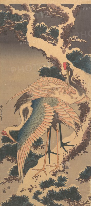 Cranes on Branch of Snow-covered Pine, late 1820s.