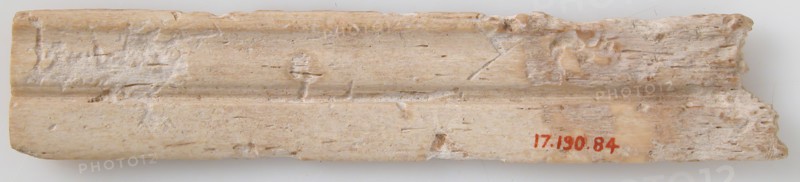 Fragment of Molding, Coptic, 6th-7th century.