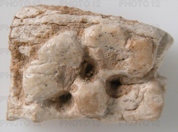 Relief Fragment with Part of a Rosette, Coptic, 6th-7th century.