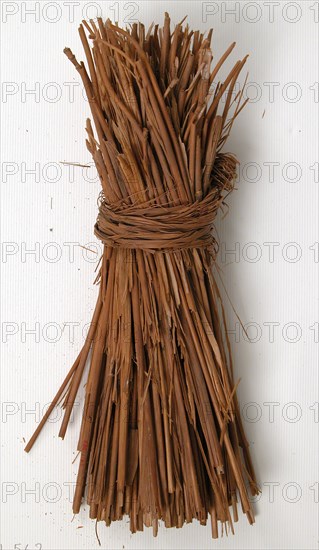 Grass, Coptic, 580-640.