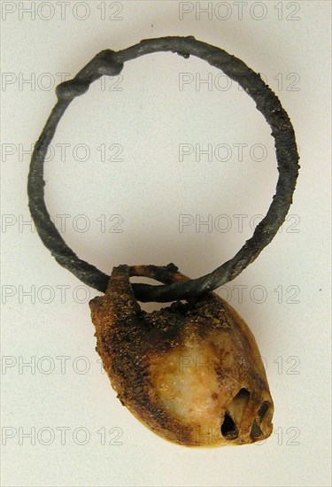 Ring with Shell, Coptic, 4th-7th century.