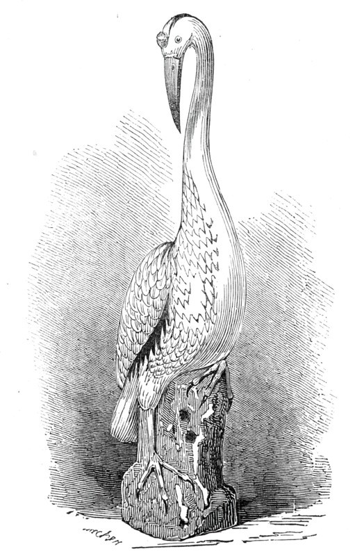 Rare old India China stork, 1845. Creator: Unknown.