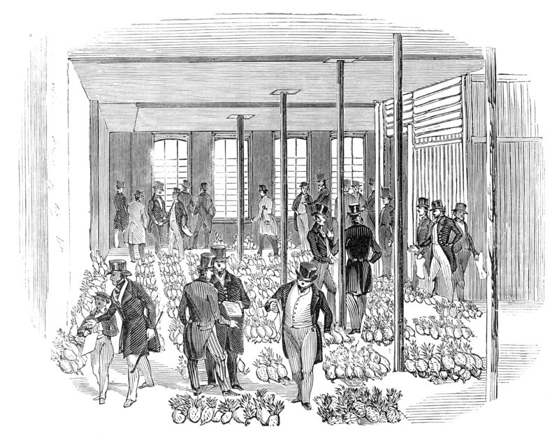 Sale of West India Pine Apples, 1844. Creator: Unknown.