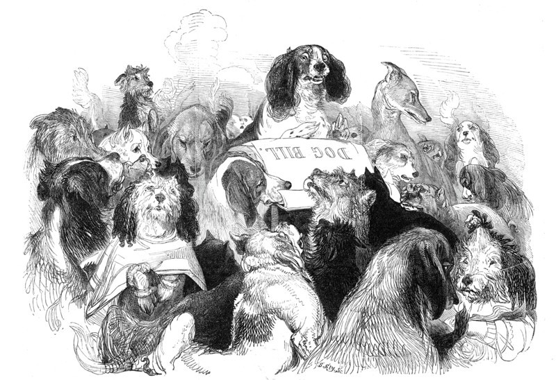 The Dog Bill Committee, drawn by T. Landseer, 1844. Creator: Thomas Landseer.
